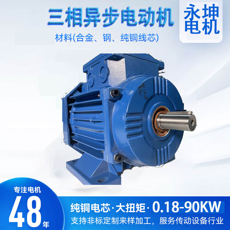 電動機(jī)