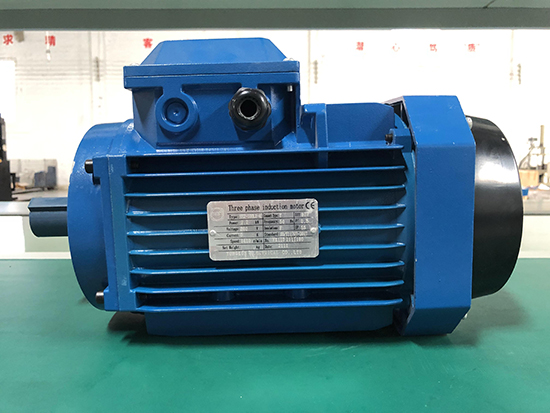 三相異步電動機(jī)IP55是什么意思