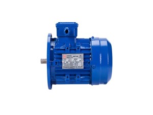 防爆電機(jī)都有哪些防爆系統(tǒng)？
