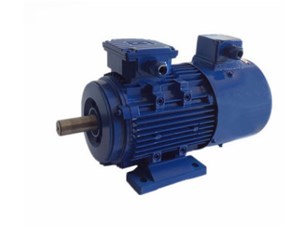 變頻三相異步電動(dòng)機(jī)不同于普通三相異步電動(dòng)機(jī)嗎？