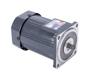 5ik AC micromotor